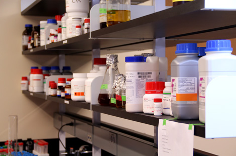 story_innov_biolab